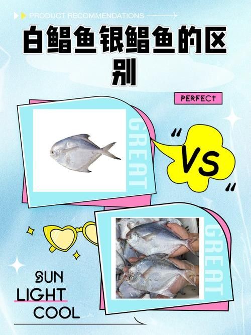 鯧魚最好的三個品種（金鯧魚vs銀鯧魚）