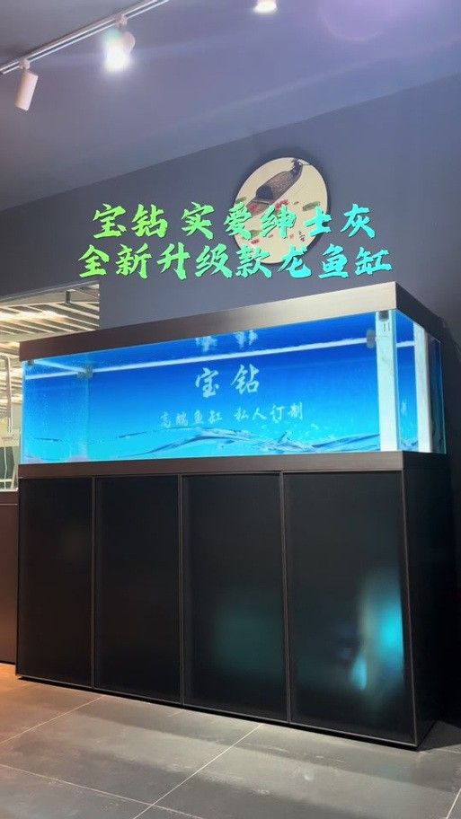 寶鉆龍魚缸有哪些型號？（寶鉆龍魚缸型號）