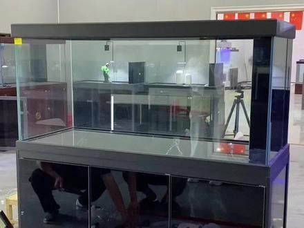 寶鉆龍魚缸有哪些型號？（寶鉆龍魚缸型號）