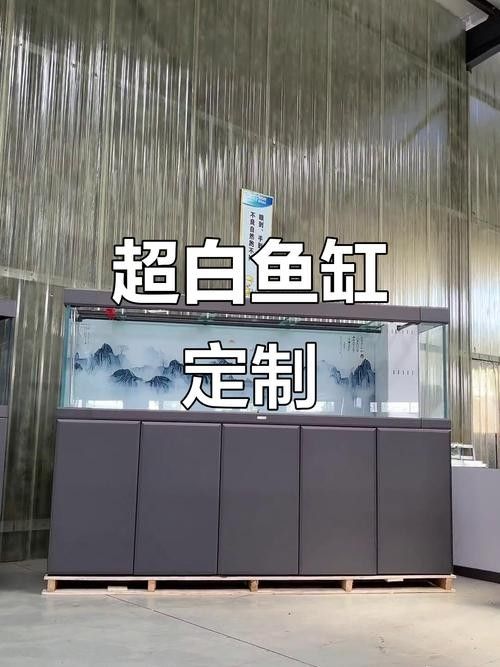 寶鉆龍魚缸有哪些型號？（寶鉆龍魚缸型號）
