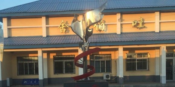 舍伯吐哪個水族館龍魚好？祥龍魚場龍魚 舍伯吐哪個水族館龍魚好？祥龍魚場龍魚 龍魚百科 第2張