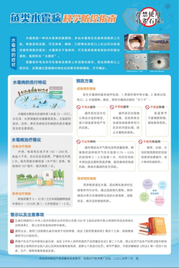 金龍魚水霉病會復發(fā)嗎？（金龍魚水霉病會復發(fā)嗎18條防治措施讓您有備無患） 金龍魚水霉病會復發(fā)嗎？（金龍魚水霉病會復發(fā)嗎18條防治措施讓您有備無患） 龍魚百科 第3張
