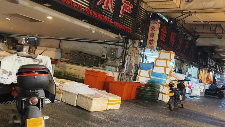 如何聯系寧波龍魚市場管理方？（如何聯系寧波龍魚市場管理方）