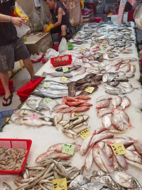 如何聯系寧波龍魚市場管理方？（如何聯系寧波龍魚市場管理方）