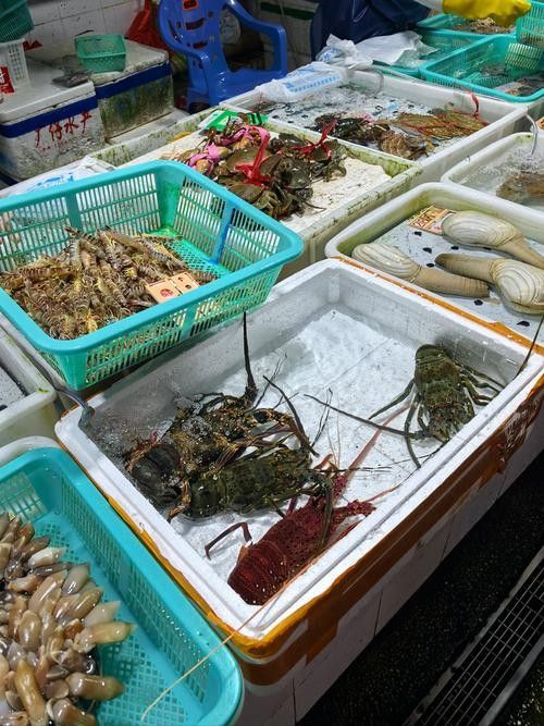 如何聯系寧波龍魚市場管理方？（如何聯系寧波龍魚市場管理方）