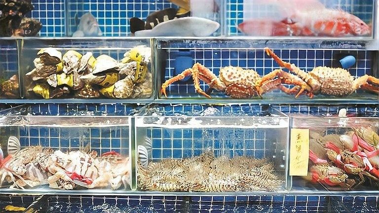 廣州龍魚批發市場有哪些？（廣州龍魚批發市場）