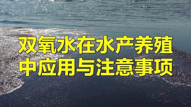如何用雙氧水消毒活餌？