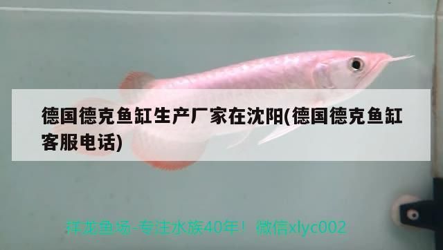 魯南水族批發(fā)市場（山東魯南水族批發(fā)市場）