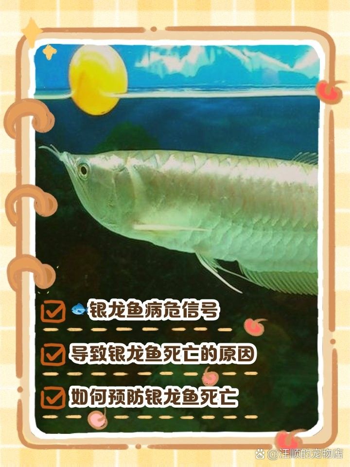 龍魚死亡有哪些常見癥狀（銀龍魚死亡前兆）