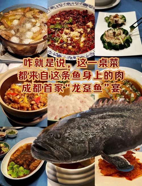 渾源哪個水族館龍魚好？祥龍魚場龍魚（廣州龍魚祥龍魚場養龍魚那么久,您懂龍魚文化嗎）