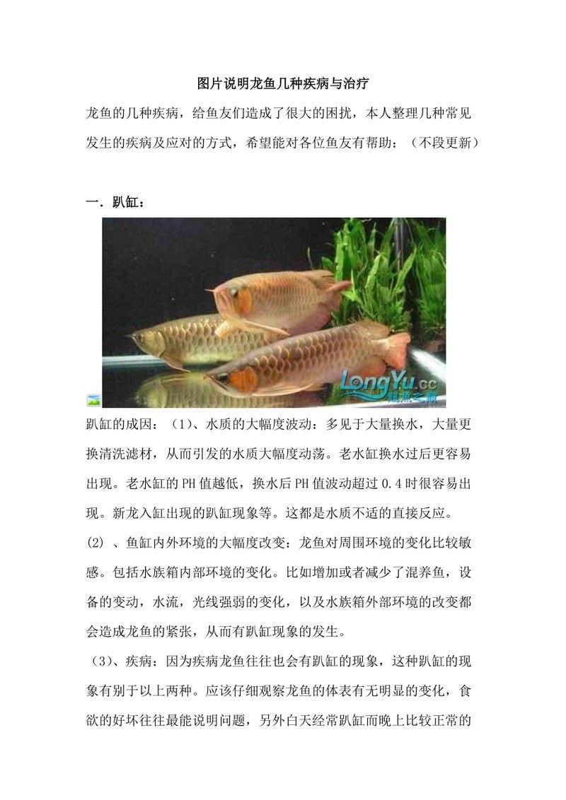渾源哪個水族館龍魚好？祥龍魚場龍魚（廣州龍魚祥龍魚場養龍魚那么久,您懂龍魚文化嗎）