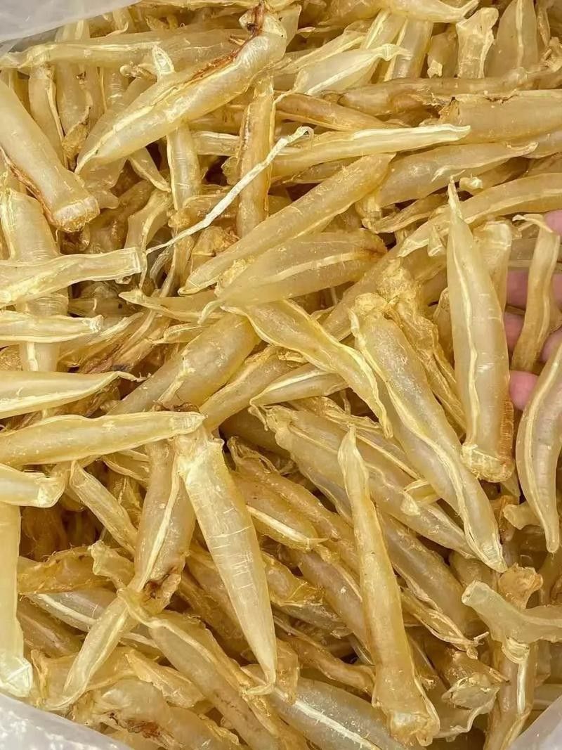 金龍魚蛟（金龍魚膠是什么魚堂主粉絲） 金龍魚蛟（金龍魚膠是什么魚堂主粉絲） 觀賞魚百科 第5張