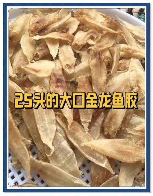 金龍魚蛟（金龍魚膠是什么魚堂主粉絲） 金龍魚蛟（金龍魚膠是什么魚堂主粉絲） 觀賞魚百科 第9張