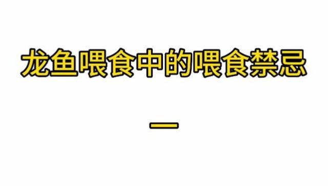 龍魚最忌三種食物（龍魚喂養禁忌,別把你的魚喂死了才后悔） 龍魚最忌三種食物（龍魚喂養禁忌,別把你的魚喂死了才后悔） 觀賞魚百科 第2張