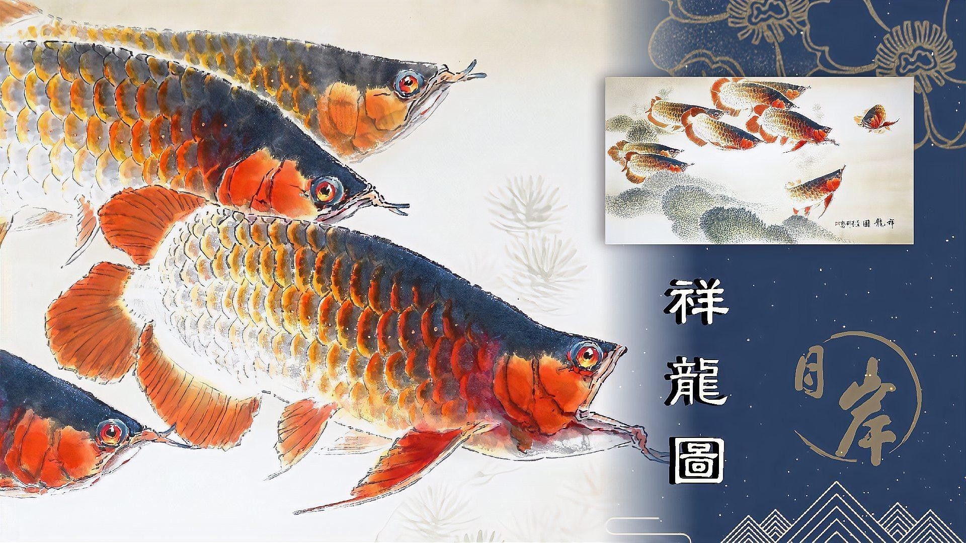 高清工筆金龍魚(yú)圖片（高清工筆畫(huà)金龍魚(yú)圖片欣賞） 高清工筆金龍魚(yú)圖片（高清工筆畫(huà)金龍魚(yú)圖片欣賞） 觀賞魚(yú)百科 第8張