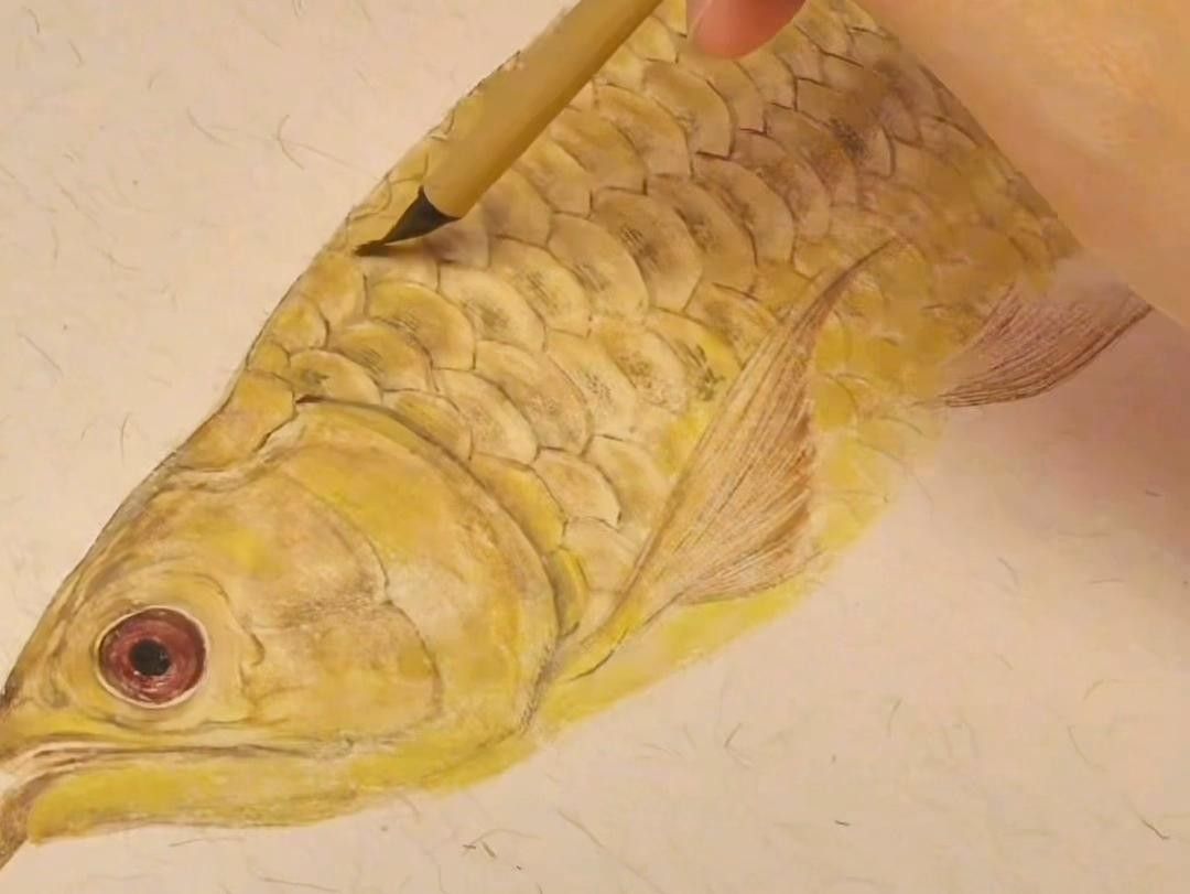 高清工筆金龍魚(yú)圖片（高清工筆畫(huà)金龍魚(yú)圖片欣賞） 高清工筆金龍魚(yú)圖片（高清工筆畫(huà)金龍魚(yú)圖片欣賞） 觀賞魚(yú)百科 第5張