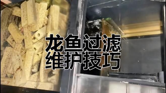如何正確清洗和更換龍魚缸濾材（新買的魚缸濾材要不要清洗怎么清洗）