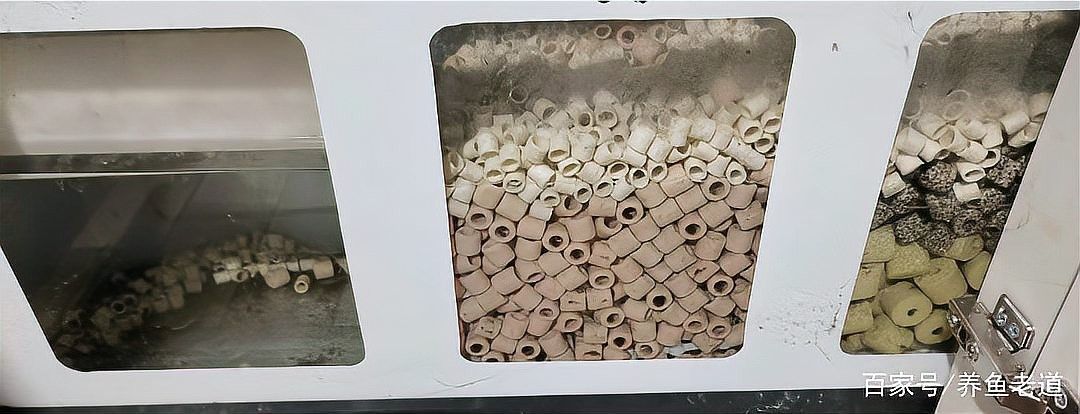 如何正確清洗和更換龍魚缸濾材（新買的魚缸濾材要不要清洗怎么清洗）