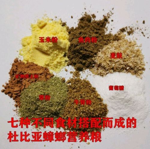 有哪些品牌的龍魚飼料推薦？（京東龍魚活飼料品牌排行榜）