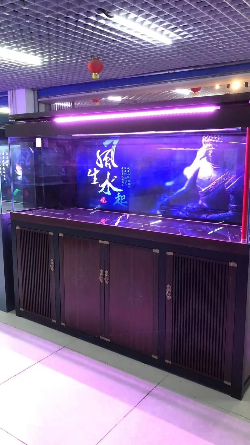 通川哪個水族館龍魚好？祥龍魚場龍魚（通川哪個水族館龍魚好） 通川哪個水族館龍魚好？祥龍魚場龍魚（通川哪個水族館龍魚好） 龍魚百科 第3張