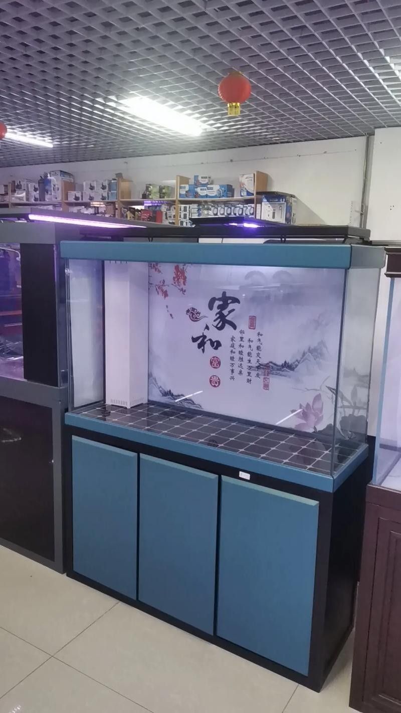 通川哪個水族館龍魚好？祥龍魚場龍魚（通川哪個水族館龍魚好） 通川哪個水族館龍魚好？祥龍魚場龍魚（通川哪個水族館龍魚好） 龍魚百科 第4張