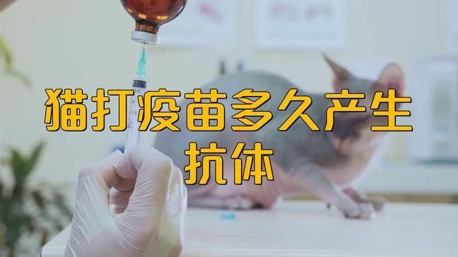 接種后多久產(chǎn)生免疫力？（接種流感疫苗后多久產(chǎn)生免疫力？）