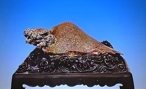 龍龜奇石的市場(chǎng)價(jià)格范圍（龍龜奇石價(jià)格受到多種因素影響，龍龜奇石的價(jià)格受到多種影響）