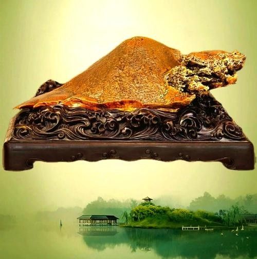 龍龜奇石的市場(chǎng)價(jià)格范圍（龍龜奇石價(jià)格受到多種因素影響，龍龜奇石的價(jià)格受到多種影響）