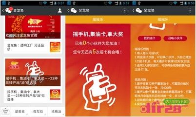 沈陽金龍魚有限公司招聘信息電話是多少（沈陽金龍魚有限公司招聘信息電話是多少號）（沈陽金龍魚有限公司招聘信息查詢）