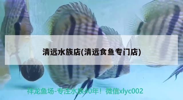 清遠(yuǎn)水族店(清遠(yuǎn)食魚專門店)（廣東清遠(yuǎn)水族店）