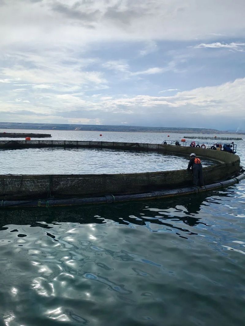 海南州龍魚（海南州龍魚在生態旅游方面也占有一席之地海南州龍魚）