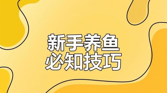 龍魚喂活食需要消毒嗎？（喂食活食是否需要消毒） 龍魚喂活食需要消毒嗎？（喂食活食是否需要消毒） 龍魚百科 第2張