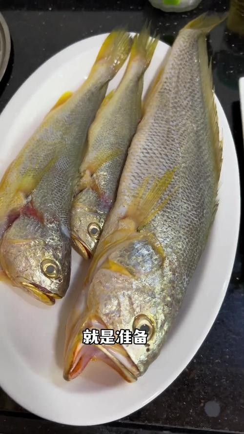 金龍魚的食物有哪些？（金龍魚吃什么好）