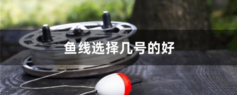 滁州魚缸批發市場：滁州彩鰈魚缸專賣店