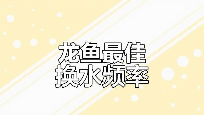 龍魚缸多久換一次水（龍魚多久換一次水最好）