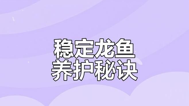 龍魚燈光多久開一次（——龍魚燈光使用指南）