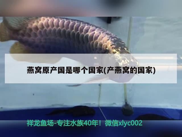 小魚缸水循環安裝圖，家用小魚缸水循環安裝圖