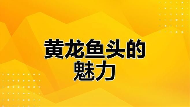 北京路黃龍魚頭口碑如何（北京路黃龍魚頭口碑分析） 北京路黃龍魚頭口碑如何（北京路黃龍魚頭口碑分析） 龍魚百科 第6張