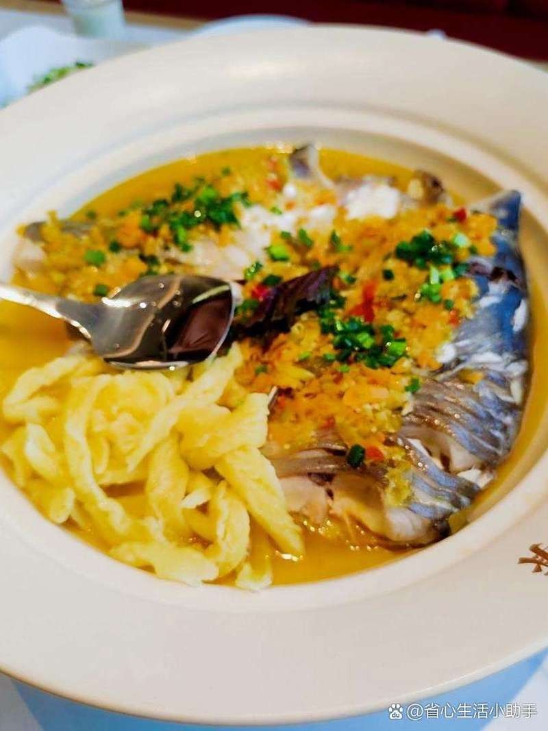 北京路黃龍魚頭口碑如何（北京路黃龍魚頭口碑分析） 北京路黃龍魚頭口碑如何（北京路黃龍魚頭口碑分析） 龍魚百科 第9張