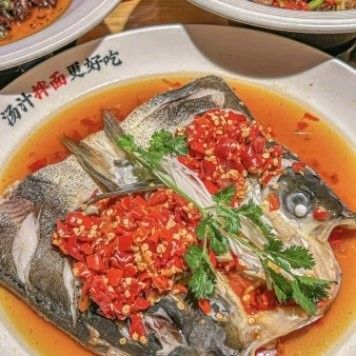 北京路黃龍魚頭口碑如何（北京路黃龍魚頭口碑分析） 北京路黃龍魚頭口碑如何（北京路黃龍魚頭口碑分析） 龍魚百科 第11張