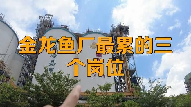 白城金龍魚招聘崗位有哪些？（白城金龍魚公司招聘崗位一覽）