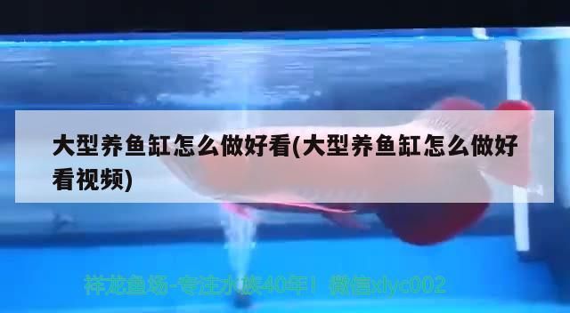 魚缸用增氧泵價格是多少:魚缸增氧機-xtrac增氧機-xtrac增氧機 大型養魚缸怎么做好看(大型養魚缸怎么做好看視頻)(大型養魚缸怎么做好看) 觀賞魚百科 大型養魚缸怎么做好看(大型養魚缸怎么做好看視頻)(大型養魚缸怎么做好看) 大型養魚缸怎么做好看(大型養魚缸怎么做好看視頻)(大型養魚缸怎么做好看) 觀賞魚百科