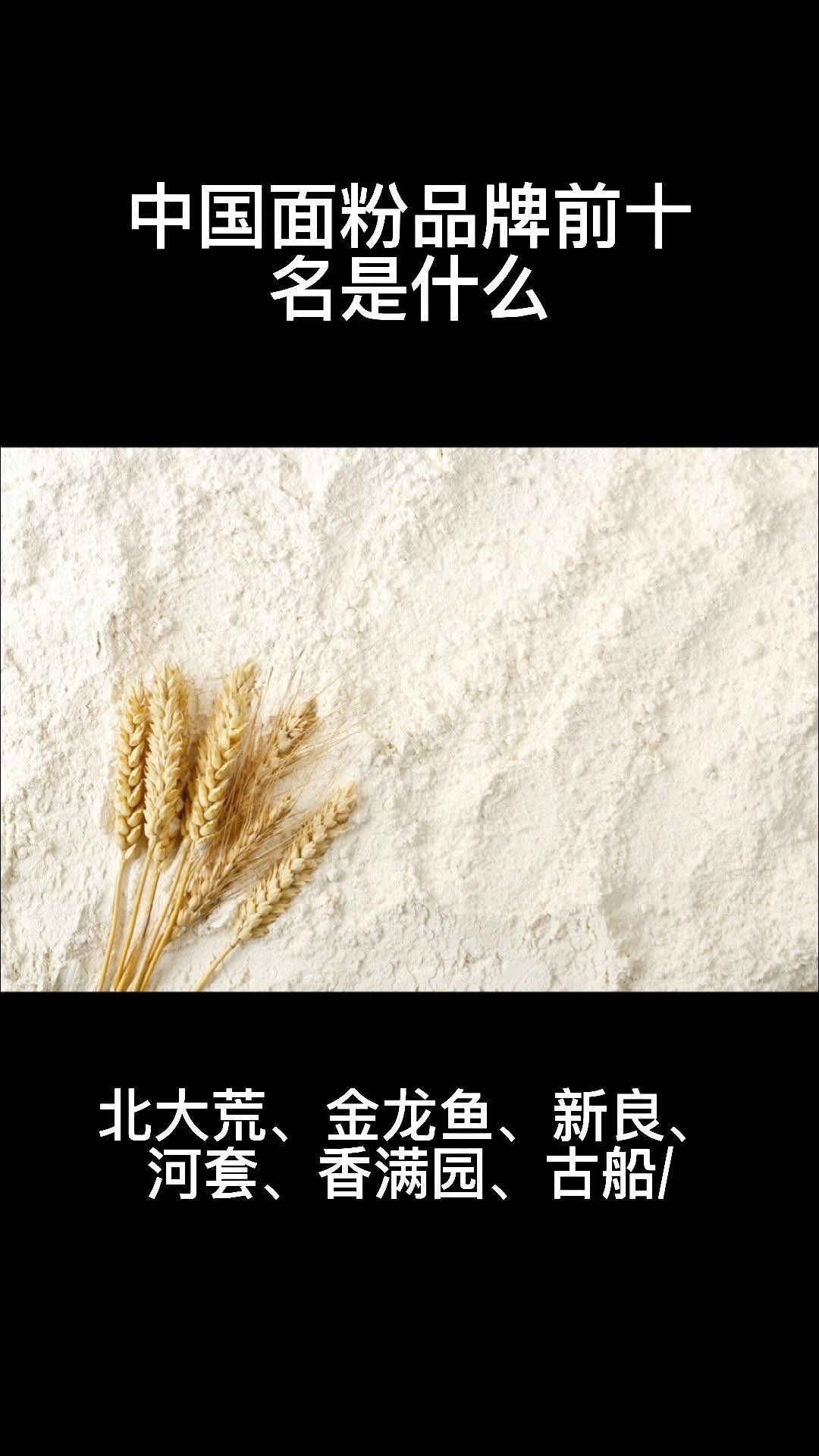 金龍魚河套（內蒙古自治區金龍魚河套平原雪花粉依托河套產區優勢）