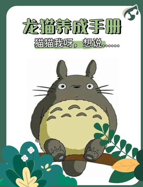 如何避免龍貓咬人？（龍貓為什么會(huì)咬人） 如何避免龍貓咬人？（龍貓為什么會(huì)咬人） 龍魚(yú)百科 第5張