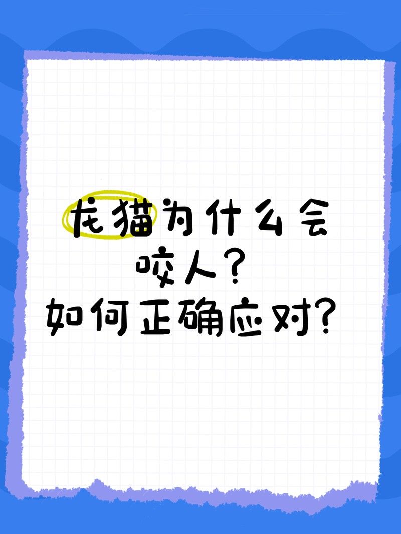 如何避免龍貓咬人？（龍貓為什么會(huì)咬人） 如何避免龍貓咬人？（龍貓為什么會(huì)咬人） 龍魚(yú)百科 第11張