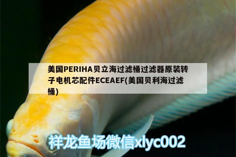 給大魚缸換水的作文:體驗(yàn)給大魚缸換水的樂趣:體驗(yàn)給大魚缸換水:給大魚缸換水的作文 美國PERIHA貝立海過濾桶過濾器原裝轉(zhuǎn)子電機(jī)芯配件ECEAEF(美國貝利海過濾桶)(periha貝立海過濾桶過濾器原裝轉(zhuǎn)子電機(jī)芯配件eceaef) 觀賞魚百科 美國PERIHA貝立海過濾桶過濾器原裝轉(zhuǎn)子電機(jī)芯配件ECEAEF(美國貝利海過濾桶)(periha貝立海過濾桶過濾器原裝轉(zhuǎn)子電機(jī)芯配件eceaef) 美國PERIHA貝立海過濾桶過濾器原裝轉(zhuǎn)子電機(jī)芯配件ECEAEF(美國貝利海過濾桶)(periha貝立海過濾桶過濾器原裝轉(zhuǎn)子電機(jī)芯配件eceaef) 觀賞魚百科