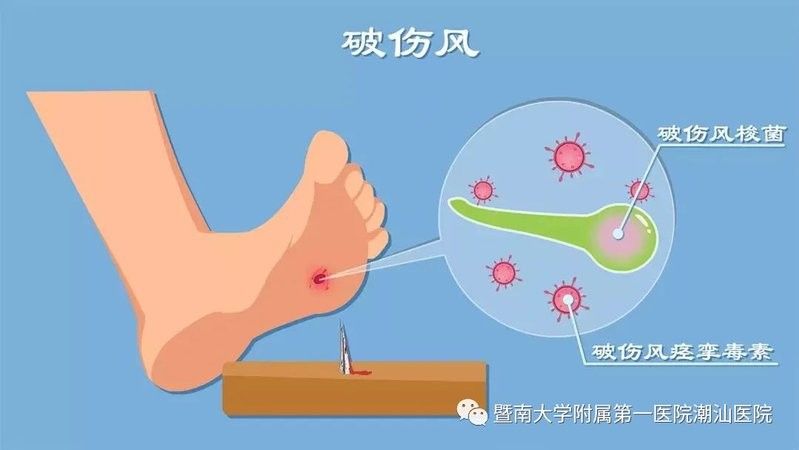 龍魚，一種過色彩血統(tǒng)的觀賞魚，福龍龍魚圖片大全高清圖片大全高清圖片大全高清圖 龍魚，一種過色彩血統(tǒng)的觀賞魚，福龍龍魚圖片大全高清圖片大全高清圖片大全高清圖 觀賞魚百科 第1張