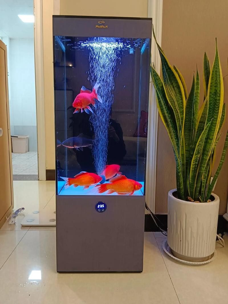 有哪些適合金龍魚魚缸的背景設計？（金龍魚缸背景設計）