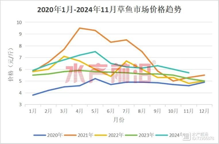 龍魚市場價格走勢如何?(廣州龍魚批發(fā)市場在哪里)廣州龍魚批發(fā)市場在哪里) 龍魚百科 第5張 龍魚市場價格走勢如何?(廣州龍魚批發(fā)市場在哪里)廣州龍魚批發(fā)市場在哪里) 龍魚市場價格走勢如何?(廣州龍魚批發(fā)市場在哪里)廣州龍魚批發(fā)市場在哪里) 龍魚百科 第5張