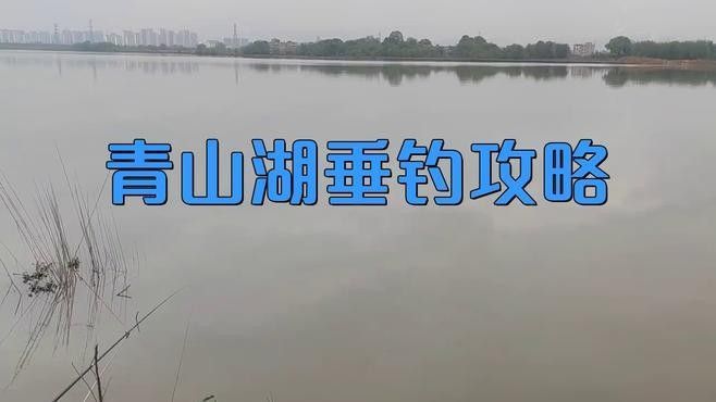 臨安青山湖可不可以夜釣魚（臨安青山湖可以夜釣嗎？）
